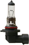 Lampa H12 halogeen lamp 12V 53W PZ20d