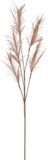 House of Seasons Pluimgras losse steel/tak - Lichtbruin - 98 cm