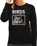 Bellatio Decorations Shoppartners Bv Dieren foto sweater Uil - zwart - dames - M