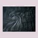 Soft Pregnant Women - Soft Features (LP)