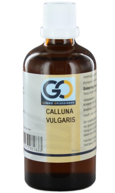 Go Calluna Vulgaris