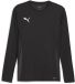 Puma TeamGoal shirt met lange mouwen 705750