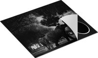 Chefcare Inductie Beschermer Twee Olifanten in het Bos - Zwart Wit - 57,6x51,6 cm