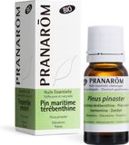 Pranarom Zeeden (Terpentijn) Bio Etherische Olie - 10 ml