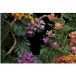 Papier peint panoramique fleurs 390 cm x 260 cm
