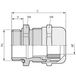 LAPP 52015765 Wartel PG36 Messing Messing 10 stuk(s)