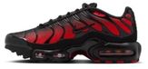 Nike Air Max Plus CD0609039