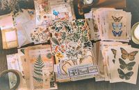 Meer Leuks Deco Sticker- & Papierset - Nature - 200 stuks