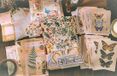 Meer Leuks Deco Sticker- & Papierset - Nature - 200 stuks