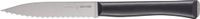 Opinel Intempora N°226 officemes - 10cm - RVS/POM kunststof - doos