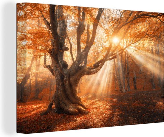 OneMillionCanvasses Canvas schilderij 140x90 cm - Boom - Natuur - Herfst - Rechthoek - Modern