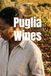 Puglia Wines
