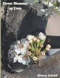 Flower Blossoms on Trees: Coffee Table Book