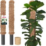 KOTARBAU® 2 st Kokosstok, Plantenstok, ⌀ 3,2 x 40 cm, Kokosstaaf, Klimhulp Monstera, Bruin, Kokosvezel
