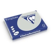 Clairefontaine Gekleurd Papier Lichtgrijs 120 grams A3 (250 vel)