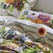 Bedrukt DESIGNERS GUILD - Glynde Coral Dekbedovertrek Katoen Perkal 260x240 cm Veelkleurig