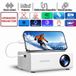 Projecteur T4 Mini-LED