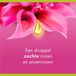 Palmolive Douchegel Aroma Essence Alluring Love - 12 x 250 ml - Voordeelverpakking
