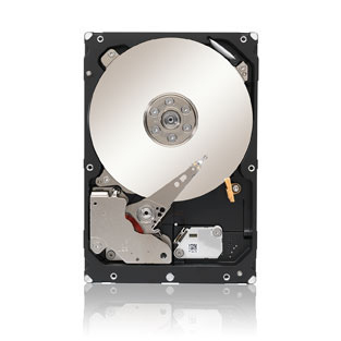 Seagate Constellation ST33000650NS