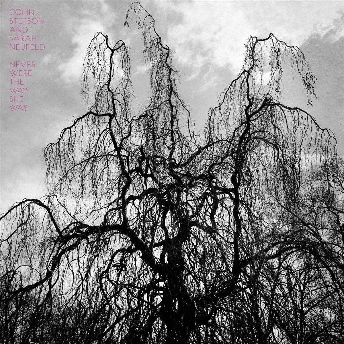 Konkurrent Colin Stetson & Sarah Neufeld - Never Were