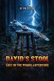 David's Stool Paperback