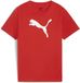 Puma Kinder Shirt TeamRISE Logo Jersey Cotton Jr 658707 Puma Red-Puma White-176