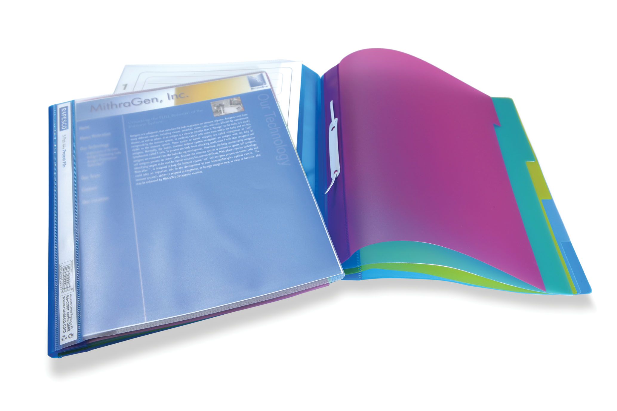 Rapesco 5-Part Project File - 0668