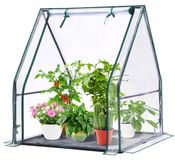 Mini serre kas - 160 x 138 x 180 cm - PE et métal thermolaqué - Avec tapis imperméable - Vert - Pour jardin et balcon