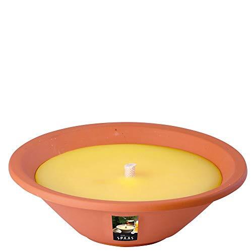 Spaas Citronella Tuinkaars Royal flame in terracotta schaal, ± 13 uur - geel