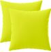 vidaXL Kussensloop 2 stuks Heldergroen 50 x 50 cm Polyester