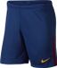 Nike FC Barcelona FC Barcelona Thuisshort 2017-2018 Navy S