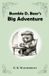 Bumble D. Bear's Big Adventure Paperback