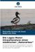 Die Verlag Unser Wissen Die Lagoa Maior: Umweltanalyse eines städtischen "Naturerbes": Die Verschlammung und die physikalisch-chemische Qualität der Oberflächengewässer der Lagoa Maior in der Gemeinde Três Lagoas/MS Paperback