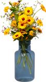 Bela Arte Vase Milan - Transparant Blauw Glas - 15 x 30 cm