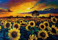 Hao Xiang JigSaw Zonnebloemen Legpuzzel 2000 Stukjes Puzzel 97 x 67 cm Puzzle Vanaf 14+