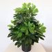 Wellhome Kunstplant met bloempot groen 60 cm hoog