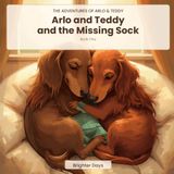 Arlo and Teddy and the Missing Sock