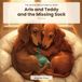 Arlo and Teddy and the Missing Sock