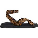 Steve Madden Mybestie-l Sandales Léopard Taille : 36 | Sandales Outlet | Femme | Marron