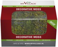My Village Groen Platmos - Doosje 50gr