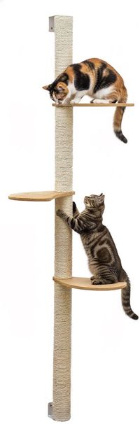eyepower Omnideal 170 cm Wandkrabpaal met 3 Bamboe Planken