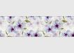 AGDesign Zelfklevende rand, folie, meerkleurig, 0,14 x 5 m