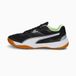 PUMA 106882_01_37 Handbal Mannen Volwassenen