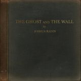 Nettwerk Music Group Joshua Radin Ghost and the Wall LP