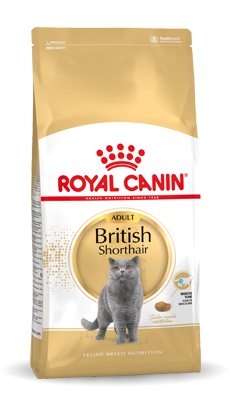 Royal Canin Breed British Shorthair Adult