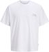 JACK&JONES JORMONTAUK BACK GRAPHIC TEE SSCN EA26 SN Heren T-shirts