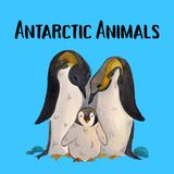 Antarctic Animals: A Fun and Educational Picture Book of Antarctic Animals for Kids Ages 4–8