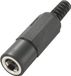 TRU COMPONENTS Connecteur de basse tension, droit 4 mm 1.45 mm 1 pièce