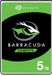 Seagate BarraCuda 5 TB Interne Harde Schijf