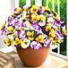 Unyqoos® Fleurs artificielles réalistes, jaune et blanc